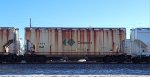 CNPX 3567